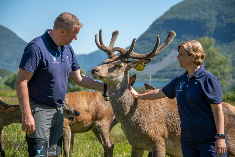 Bilde fra HJORTEGARDEN AS i Ålfoten
