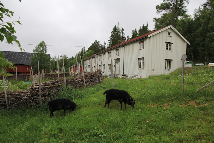Bilde fra STORBUAN GÅRD AS i Løkken verk